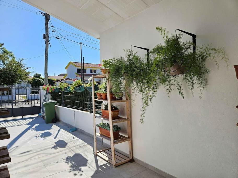Vakantiehuis House Of Belverde With Pool